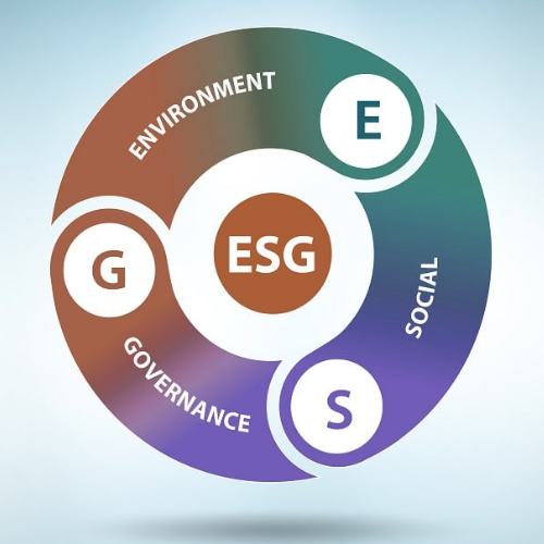 Grupo New Space adota as melhores práticas de ESG. Conheça! - New Space